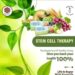 Stem Cell healthy living