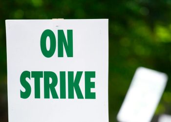 people rallying carrying on strike signage