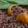 cocoa ghana pices