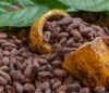 cocoa ghana pices